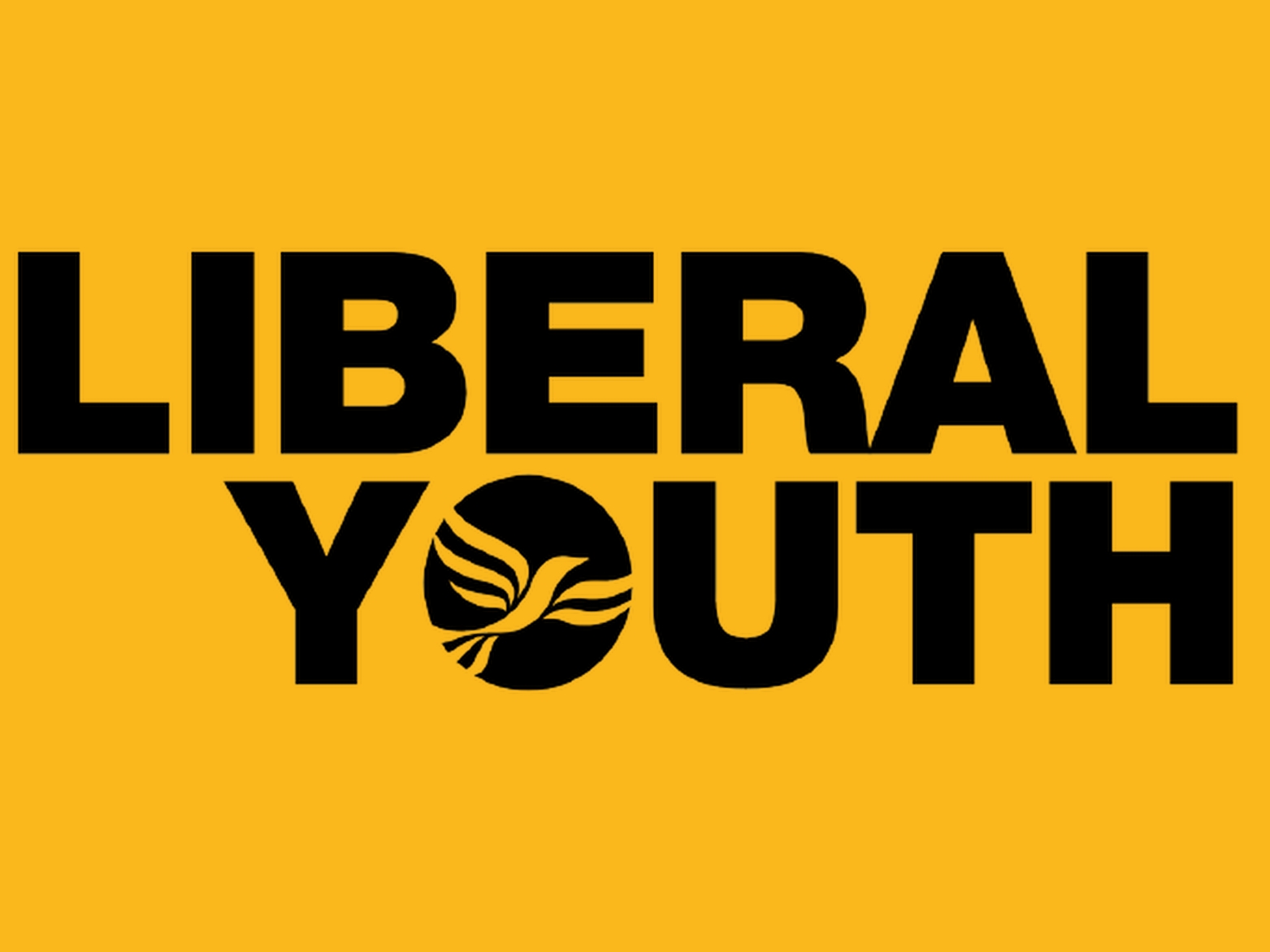 Liberal Youth England launch Branch Development Fund