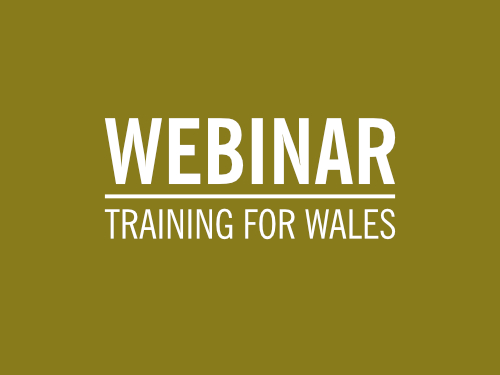 Welsh Webinar – Building Your Team in Wales –  14 January 2021