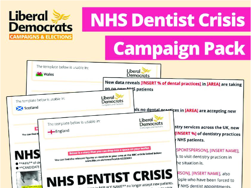 LDHQ Campaigns & Elections Team: NHS Dentist Crisis Campaign Pack