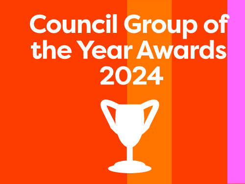 Council Group of the Year Awards 2024