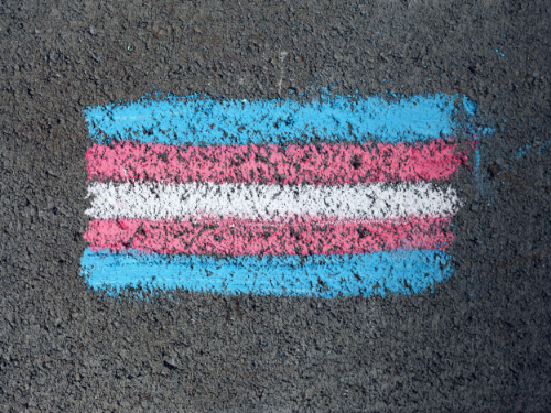 Council Motion: Supporting Trans Rights