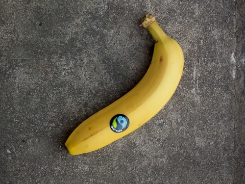 Council Motion: Fairtrade