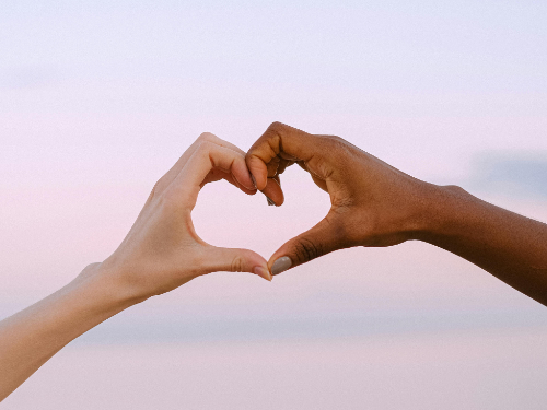 Council Motion: Respecting Local Diversity