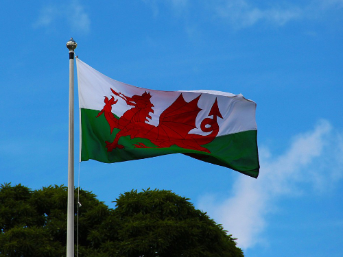 Upcoming Welsh Webinars in January