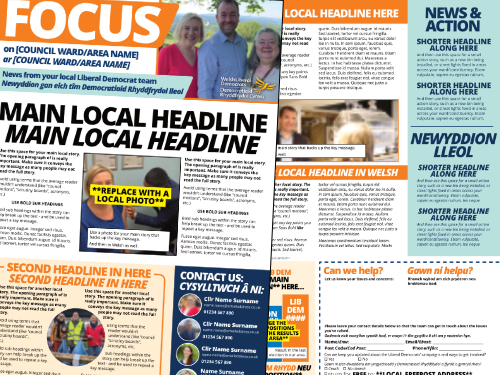 Literature for the Senedd Elections