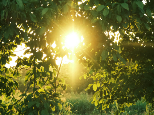 Today is Earth Day – sign up for ALDC’s Environment Action conference – 11 July 2026