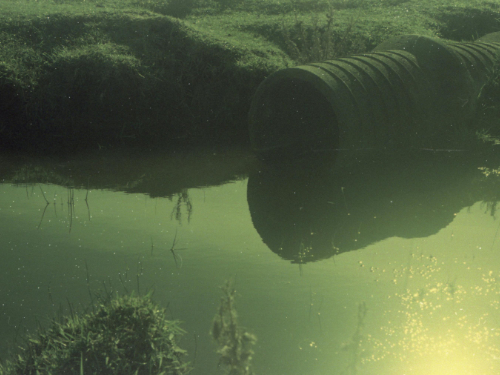 Council Motion: Sewage Scandal in Wales (2026 Update)