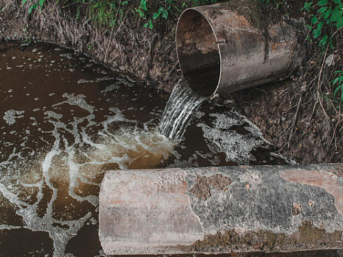 Council Motion: Sewage Scandal (2026 Update)