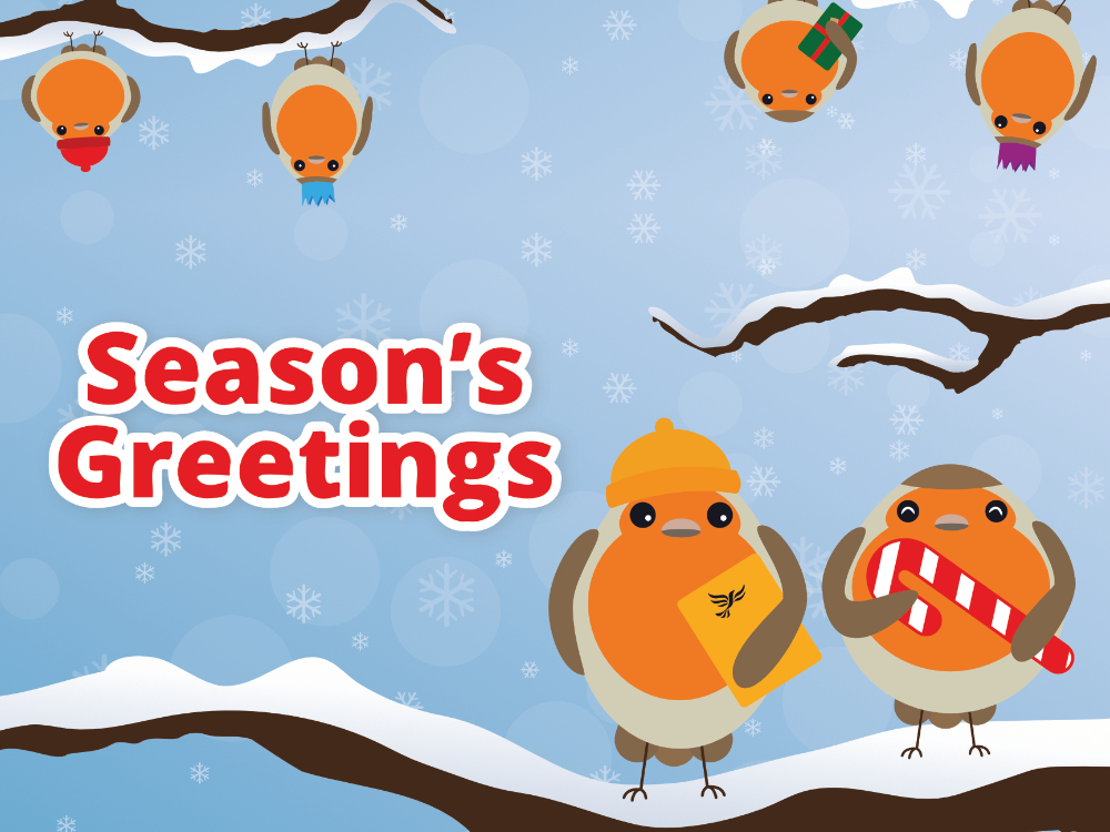 Christmas Card Bulk Buy 2026